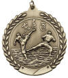 MS511 Karate Medal