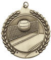 MS517 Volleyball Medal