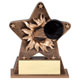 Basketball Starburst Resin Trophy